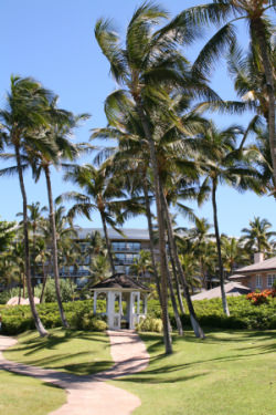 ハワイ島,ホテル,オプショナルツアー,情報