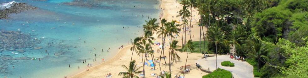 ハワイ旅行で子連れでの参加にもお勧めのオプショナルツアーはこちらです